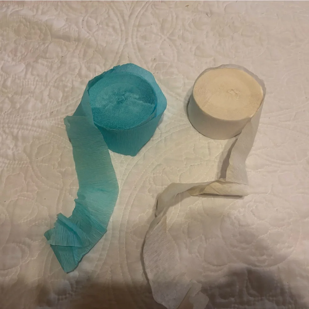 Frozen Themed Party Decorations and Supplies